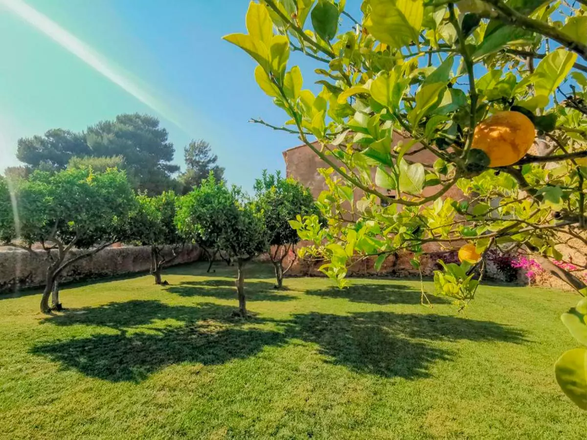 feudo-nobile_giardino_01