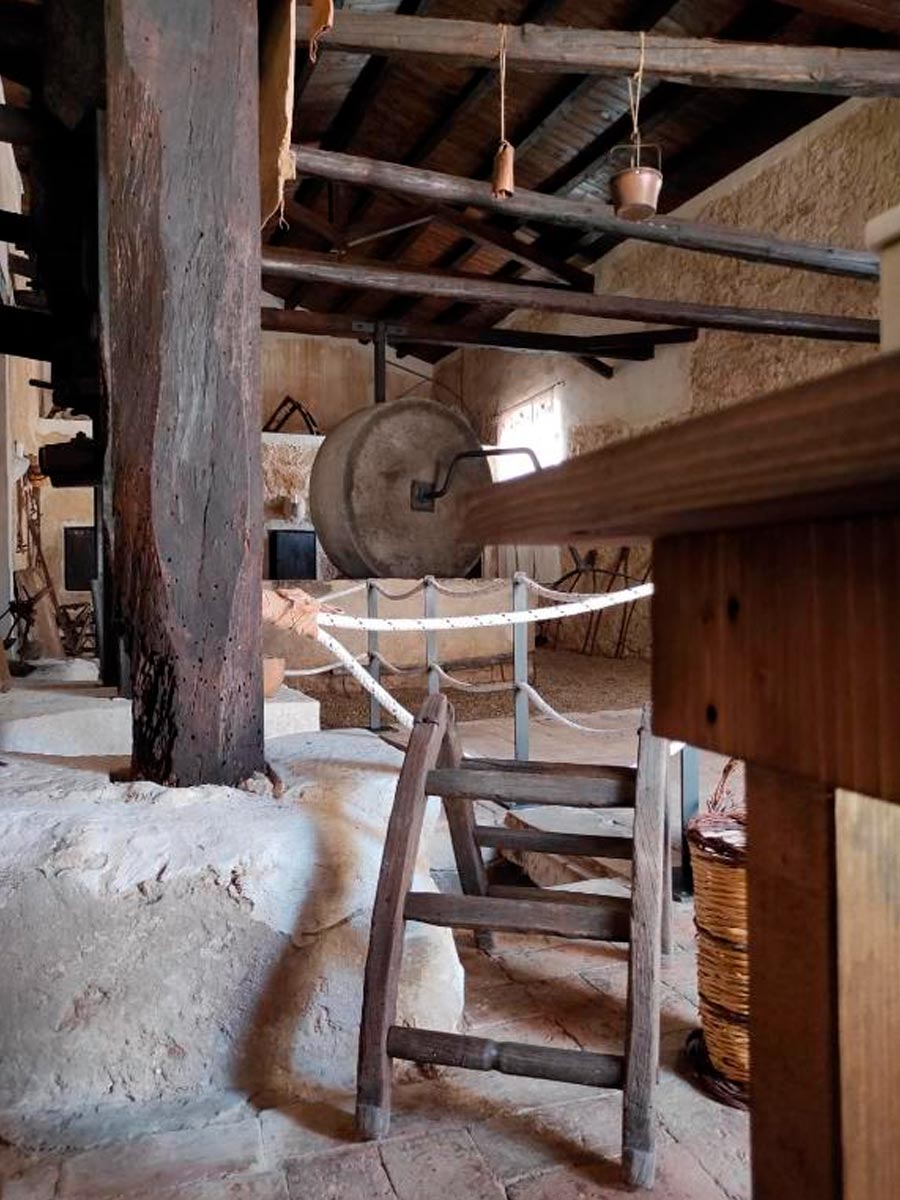 museo-rurale_feudo-nobile_21b