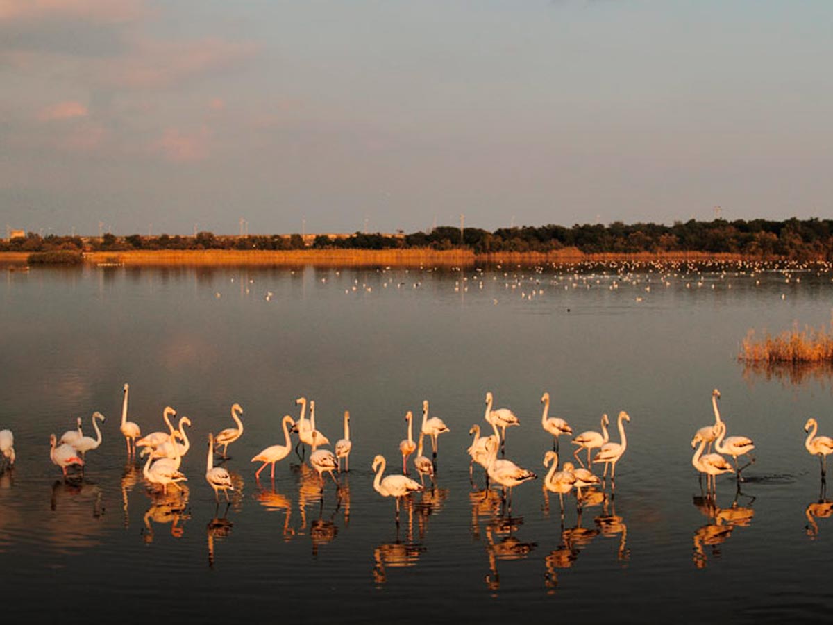 lago_biviere