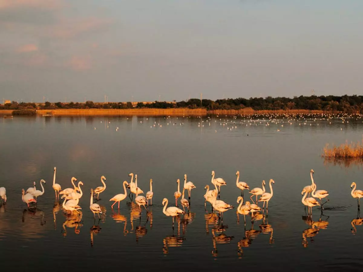 lago_biviere